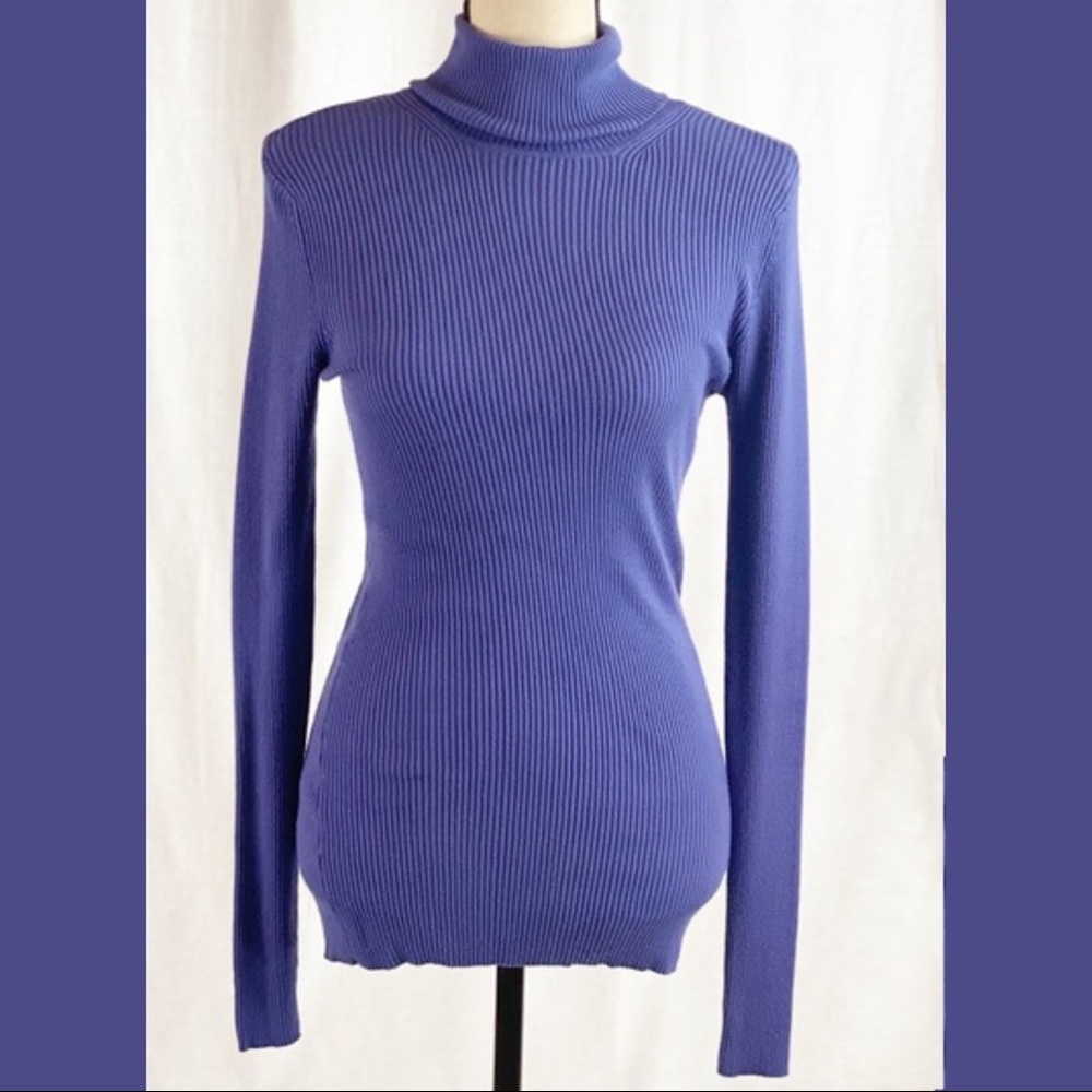 Express Purple Turtleneck Sweater